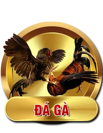 da-ga-13win